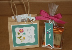 This cute square craft bag was the perfect size for one the cutout squares - Also notice the beautiful matching ribbon from American Crafts, and the Smile banner attached to the cello bag of chocolates.